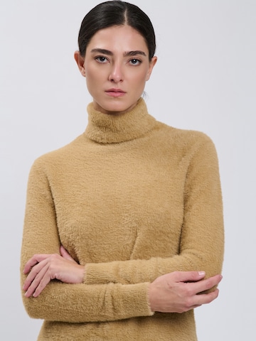 Pullover di Influencer in marrone