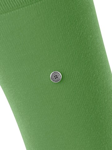 BURLINGTON Socken 'Lord'‌‌‌‌‌‌‌ in Grün