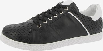 SHEEGO Sneaker low in Schwarz: predná strana