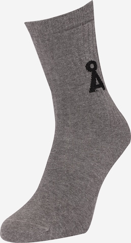 Chaussettes 'SAAMU' ARMEDANGELS en gris : devant