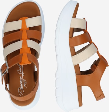 PANAMA JACK Sandals 'Naila' in Brown