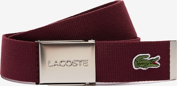 LACOSTE - Cinturón en rojo: frente