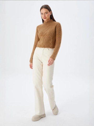 MixRay Sweater in Brown