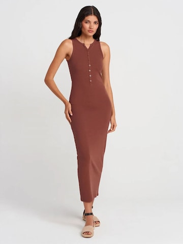 Robe Dilvin en marron : devant