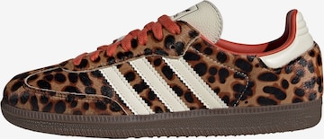 ADIDAS ORIGINALSNiske tenisice 'Samba' - smeđa boja: prednji dio