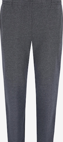 HAJO Regular Pants 'Herren Freizeithose Basic - Premium Komfort' in Grey: front