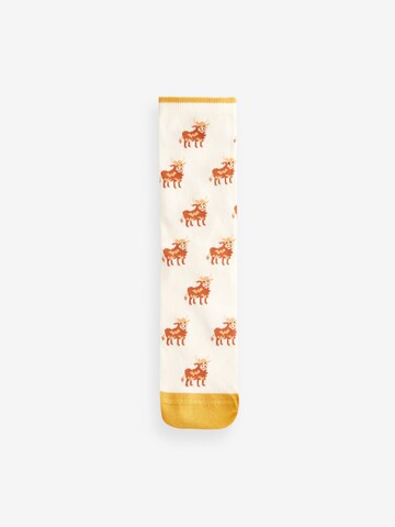 Chaussettes Next en mélange de couleurs