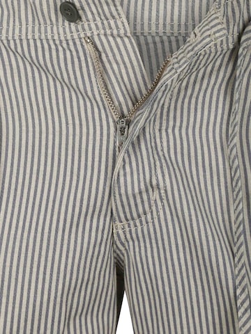 Steppin' out Regular Broek in Blauw