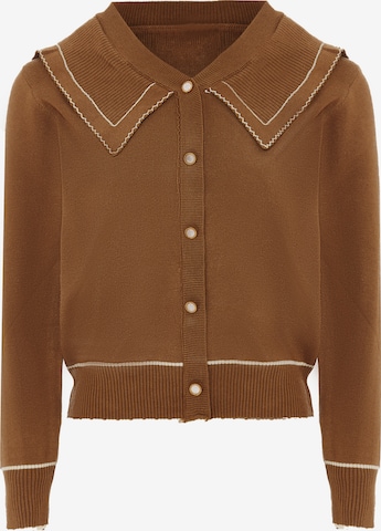 NAEMI Knit Cardigan in Brown: front