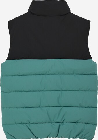 s.Oliver Bodywarmer in Groen