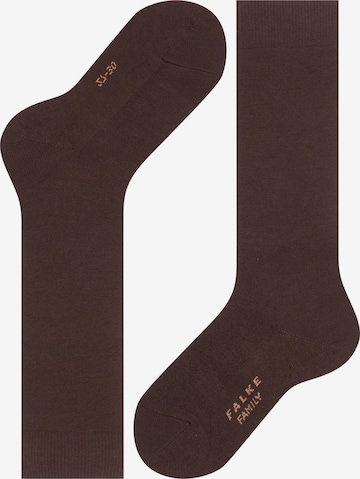 FALKE Socks 'Family' in Brown: front