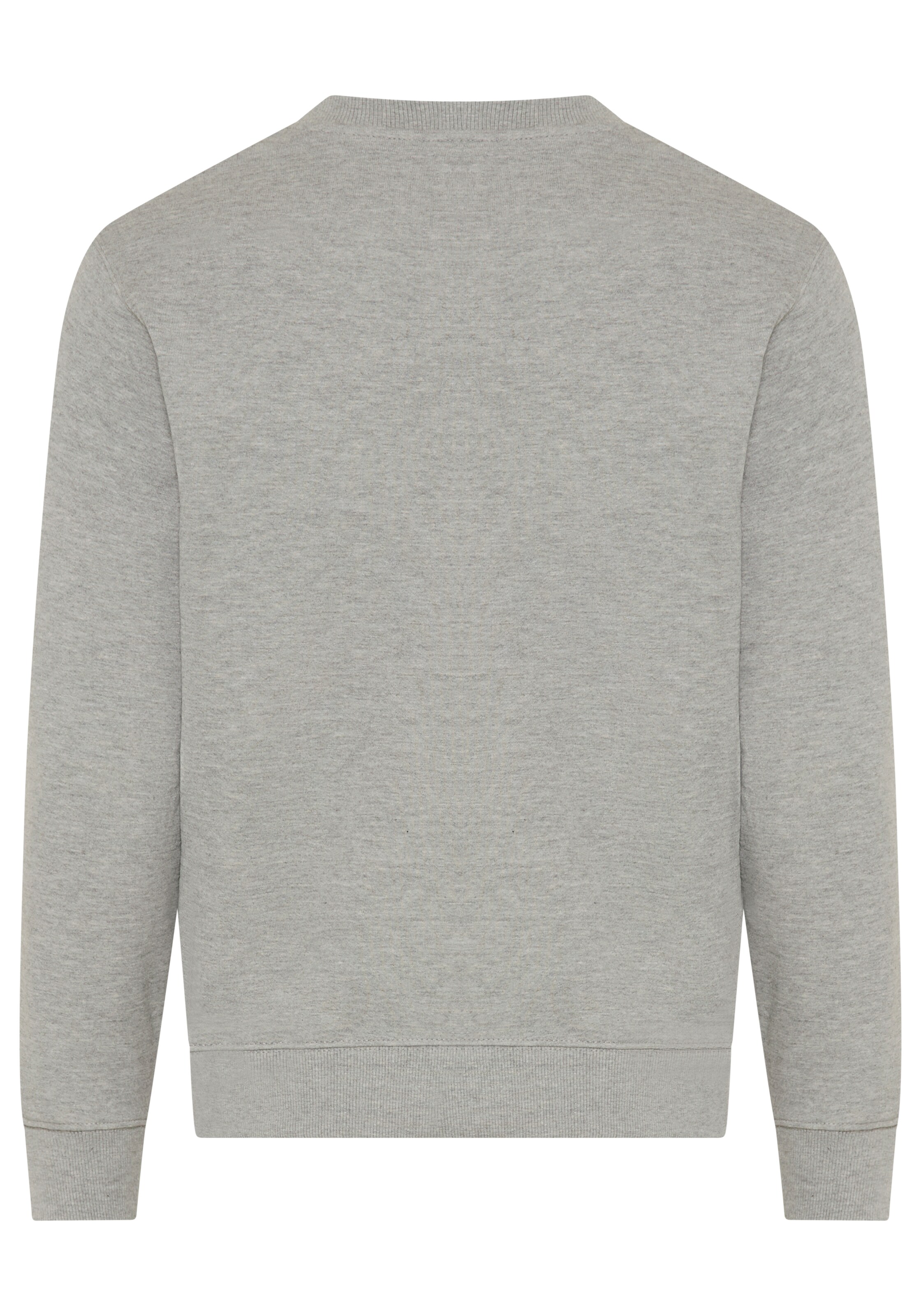 REPLAY Sweatshirt in Grijs