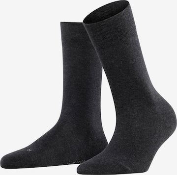 FALKE Socks in Grey: front