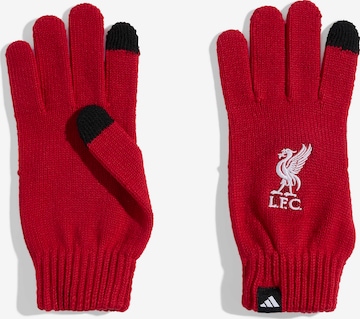 ADIDAS PERFORMANCE - Luvas de desporto 'FC Liverpool' em vermelho: frente