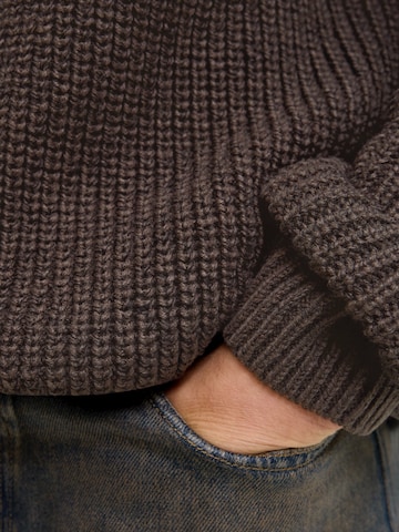 JACK & JONES Pullover 'JORBLEECKER' i brun