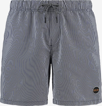 Shiwi Zwemshorts in Blauw: voorkant