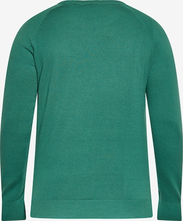 boline Sweater in Green