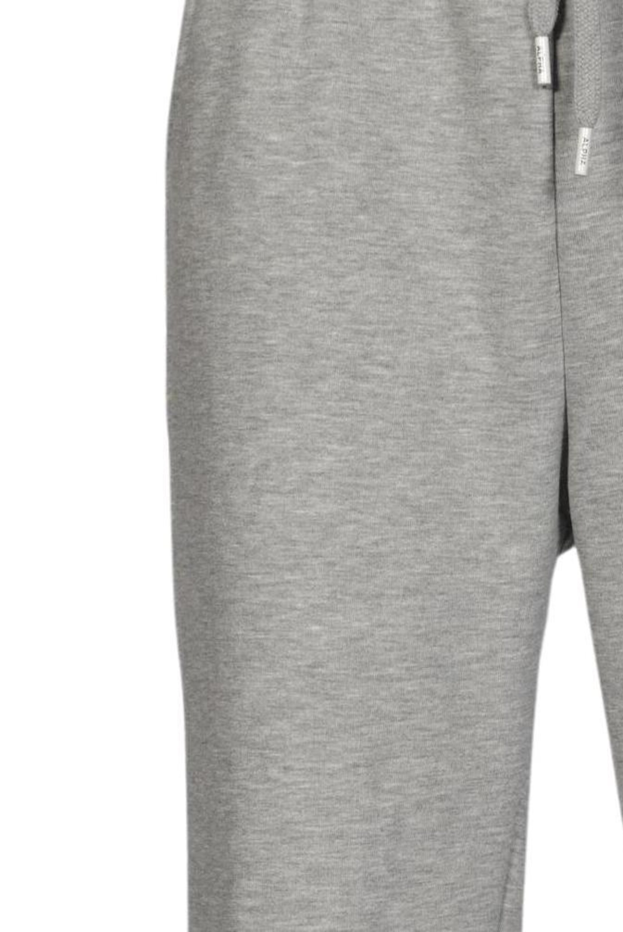 ALPHA INDUSTRIES Pants in 31-32 in Grey
