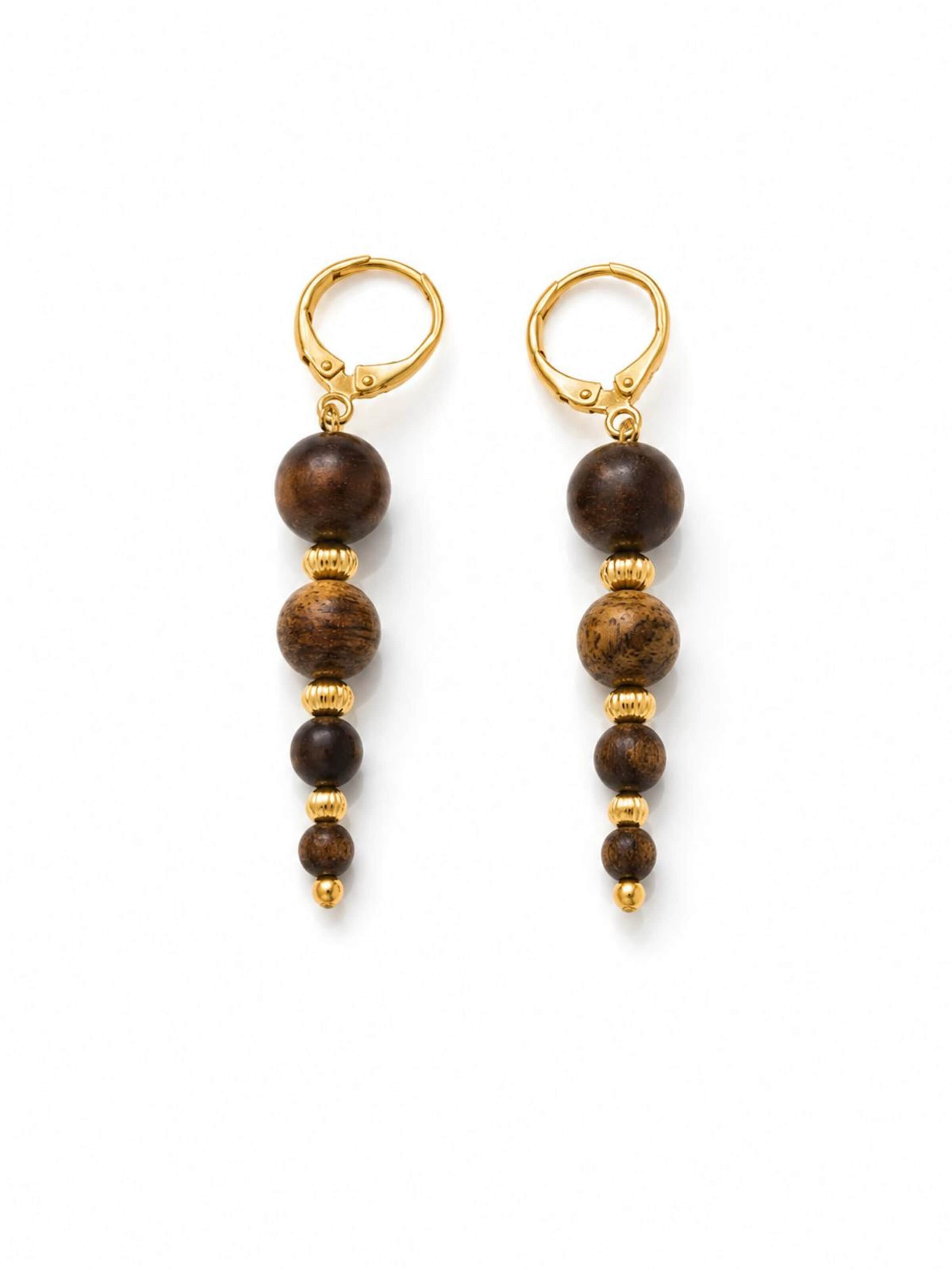 Boucles d'oreilles LanLivia en marron : devant