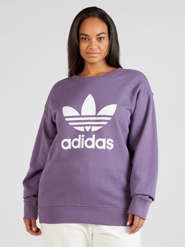 Sweat-shirt 'Trefoil' ADIDAS ORIGINALS en violet : devant