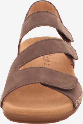 GABOR Sandals in Brown