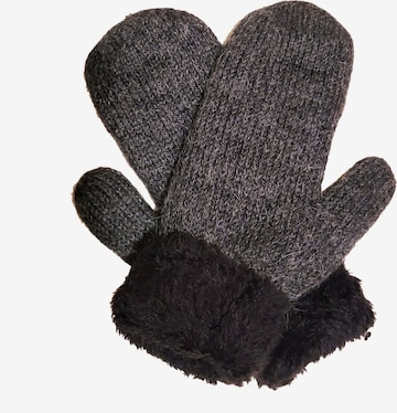 Moufles 'Guantiforaggio' Posh Gear en gris : devant