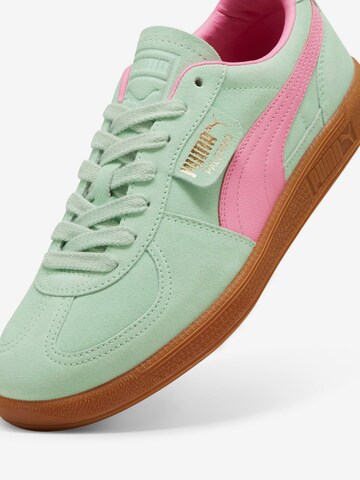 PUMA - Zapatillas deportivas bajas 'Palermo' en verde