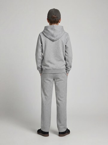 regular Pantaloni 'JREBCREST' di JJ Rebel in grigio