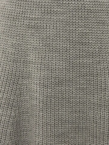 Hiccup Skirt in Grey