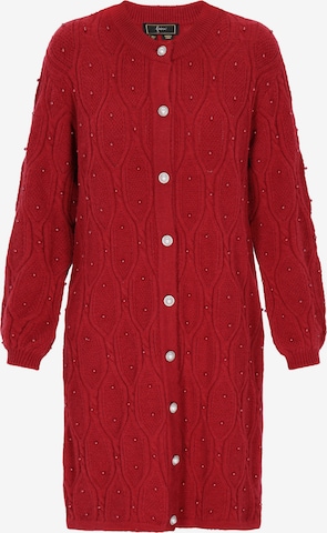 faina Gebreid vest in Rood: voorkant