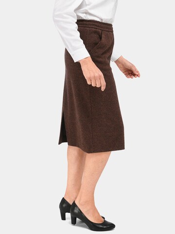 Goldner Skirt in Brown