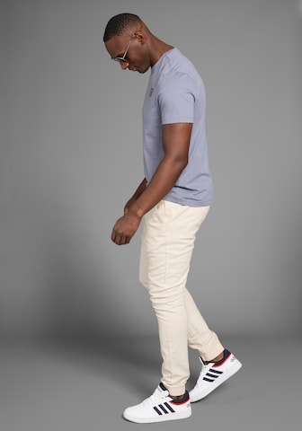 DELMAO Shirt in Grey