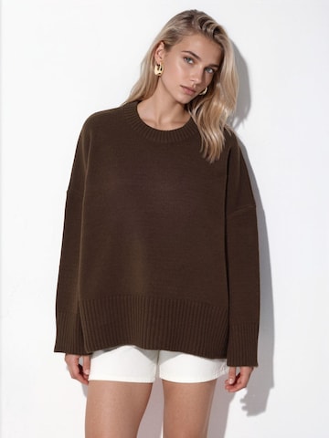 Hiccup - Pullover 'Pullover' em castanho