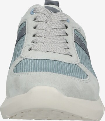 ARA Sneakers laag in Blauw