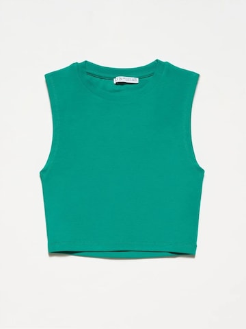 Camicia da donna 'Blusen' di Dilvin in verde: frontale