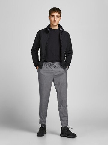 JACK & JONES Tapered Παντελόνι 'Ace Frankie' σε γκρι