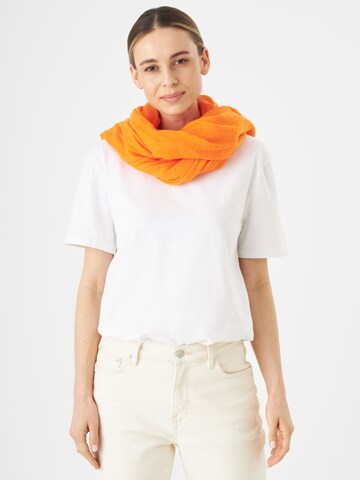 CODELLO Scarf in Orange
