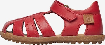 NATURINO Offene Schuhe 'SEE' in Rot: Vorderseite
