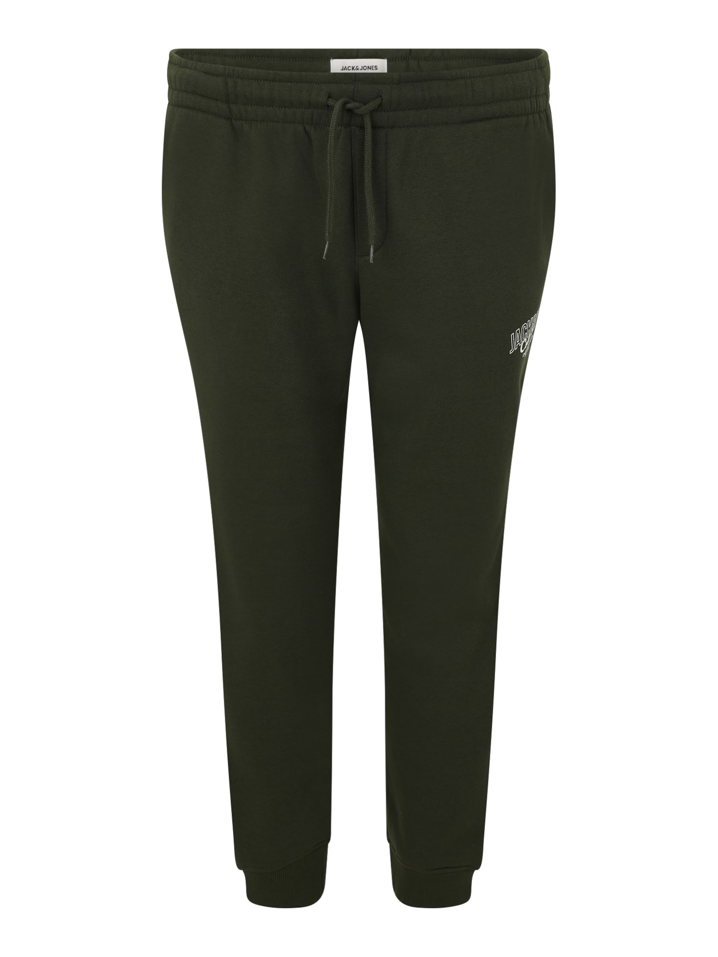 Jack & Jones Plus Tapered Bukser 'JPSTGORDON MAKOTO' i grøn: forside