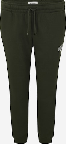 Jack & Jones Plus Hose 'JPSTGORDON MAKOTO' in Grün: Vorderseite