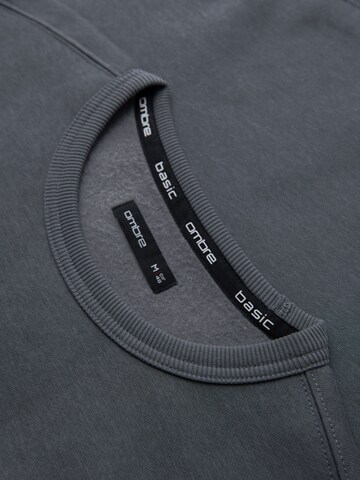 Felpa di Ombre in grigio