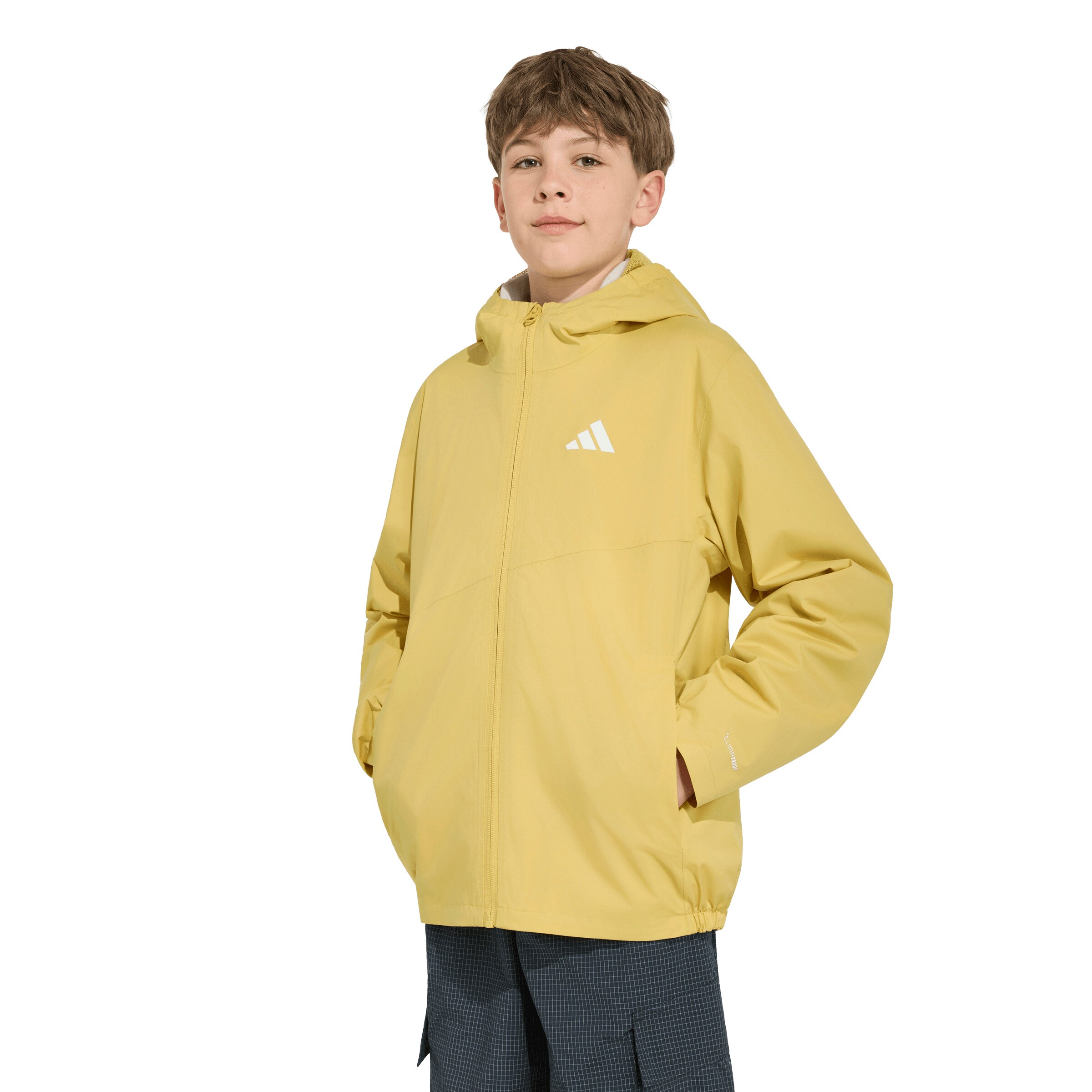 ADIDAS TERREX Kurtka outdoor w kolorze żółty: przód