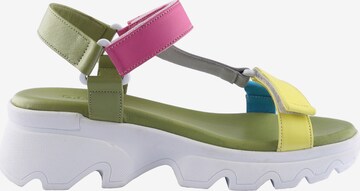 D.MoRo Shoes Sandals 'Rebalta' in Mixed colors