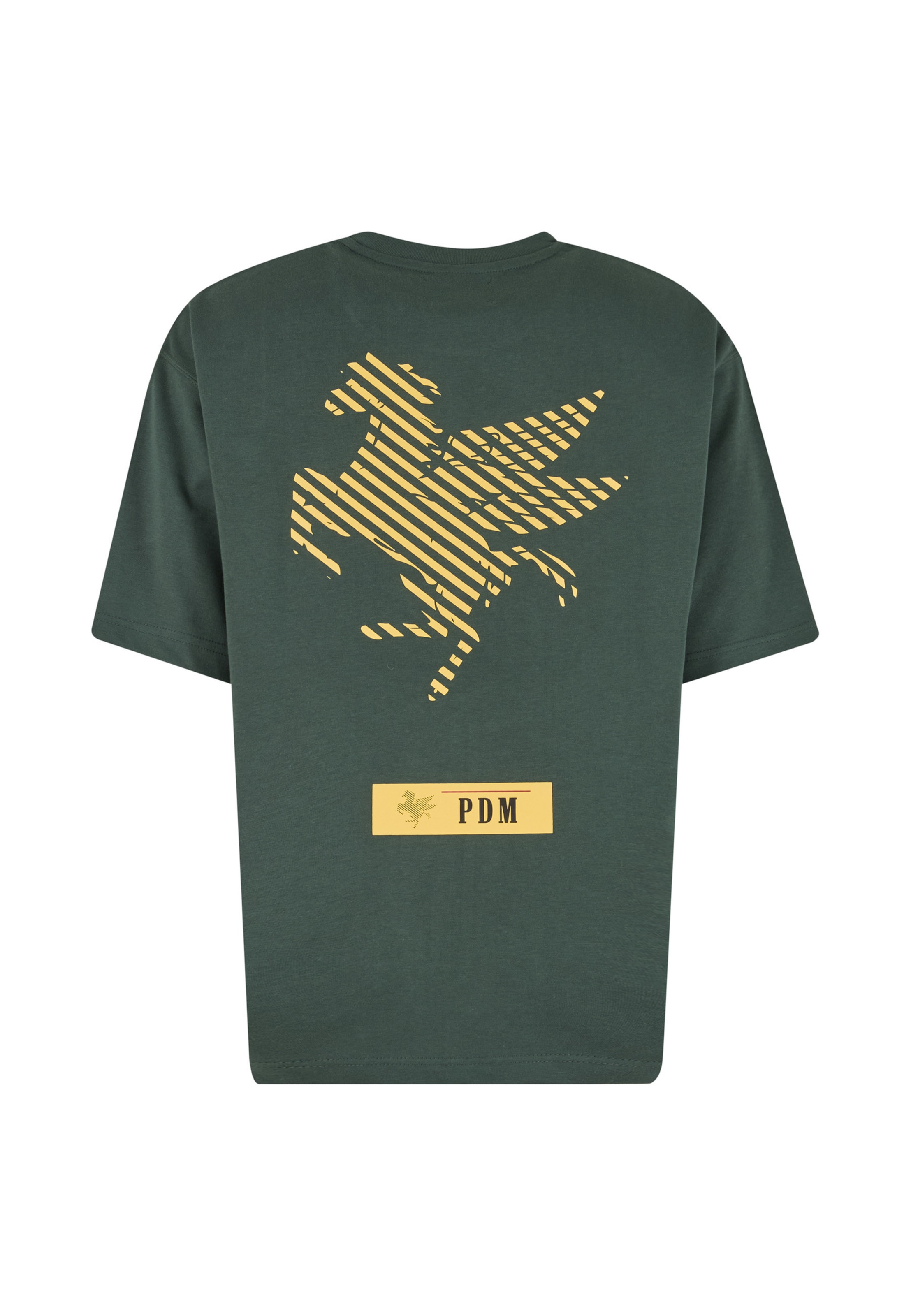 T-Shirt 'Pegus' Pas De Monaco en vert