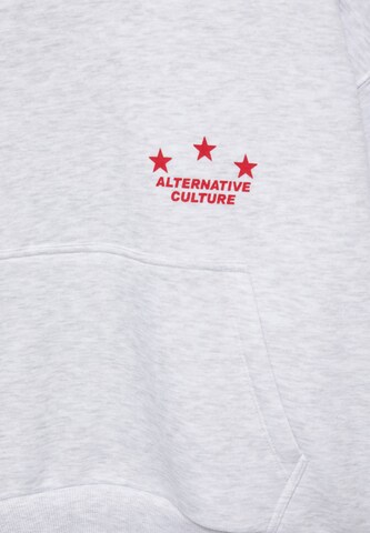 Pull&Bear Sweatshirt 'PACIFIC 9' in Grey