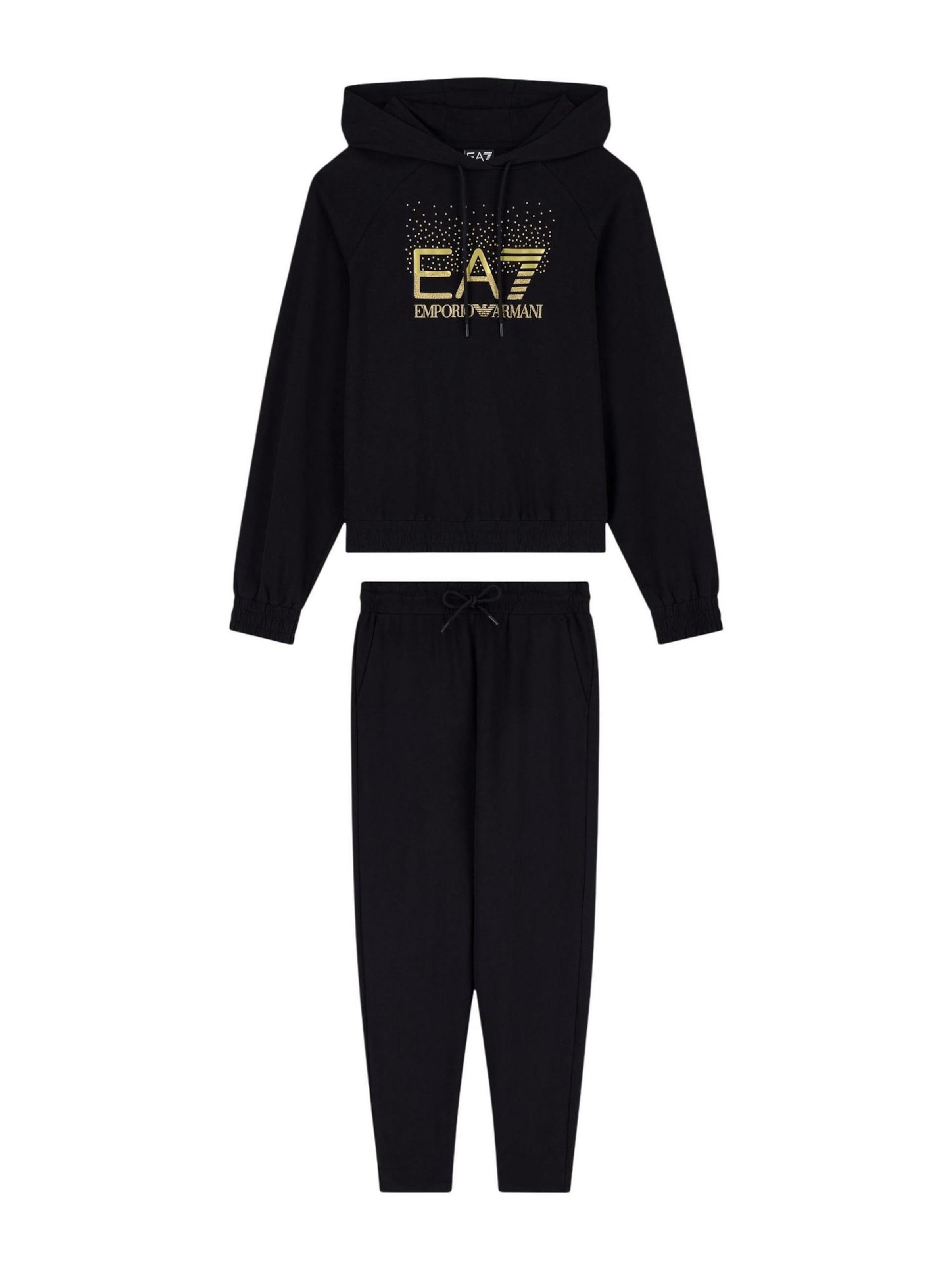 Regular Pantalon de sport EA7 Emporio Armani en noir : devant