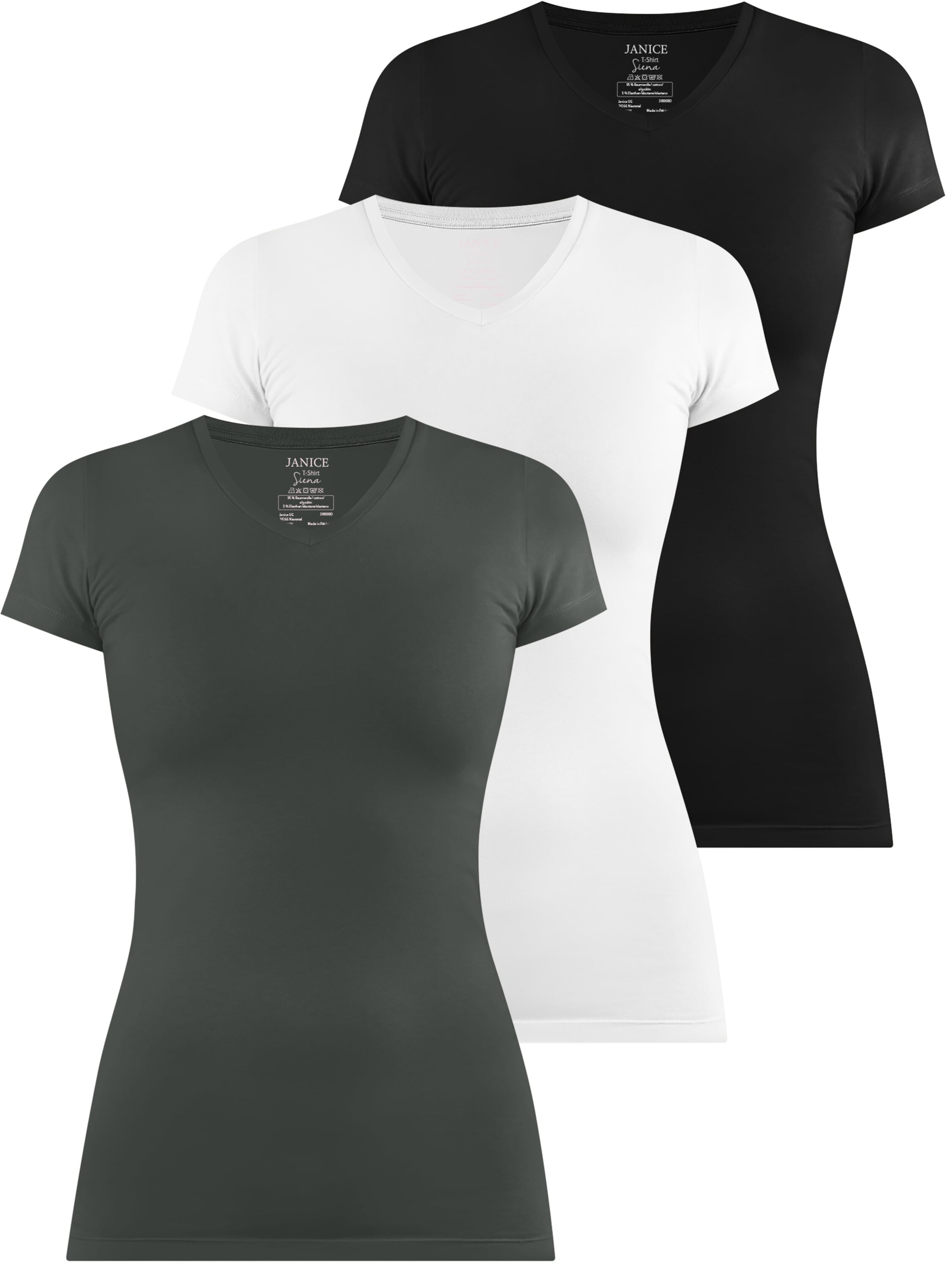 Janice Shirt 'Siena' in Grey: front