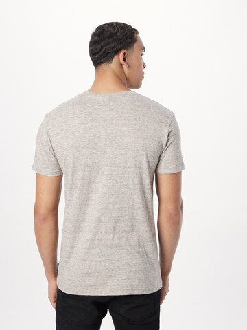 Iriedaily T-Shirt 'Chamisso' in Grau