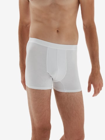 Boxers Erdem en blanc : devant
