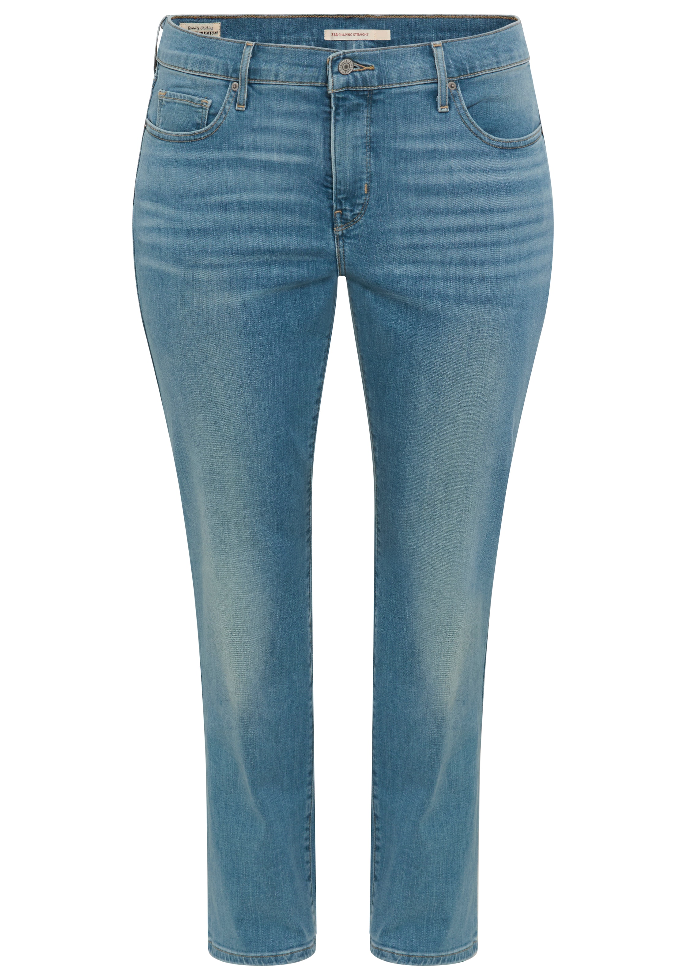 Levi's® Plus Regular Jeans in Blau: Vorderseite
